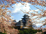 Japan: is it safe to return?